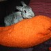 reserve for Crystal Nicole - giant carrot pillow bed toy for bunny rabbits