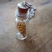 Real Butterfly Wing Necklace - Apothecary Jar - Limited Edition Nature in a Bottle Collection