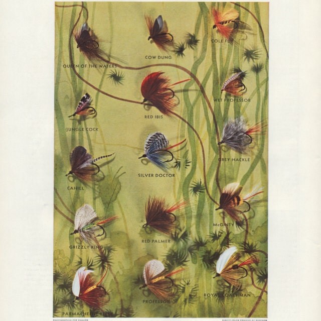 1934 Vintage Fly Fishing Art Print Trout Flies by RetroMagnifico
