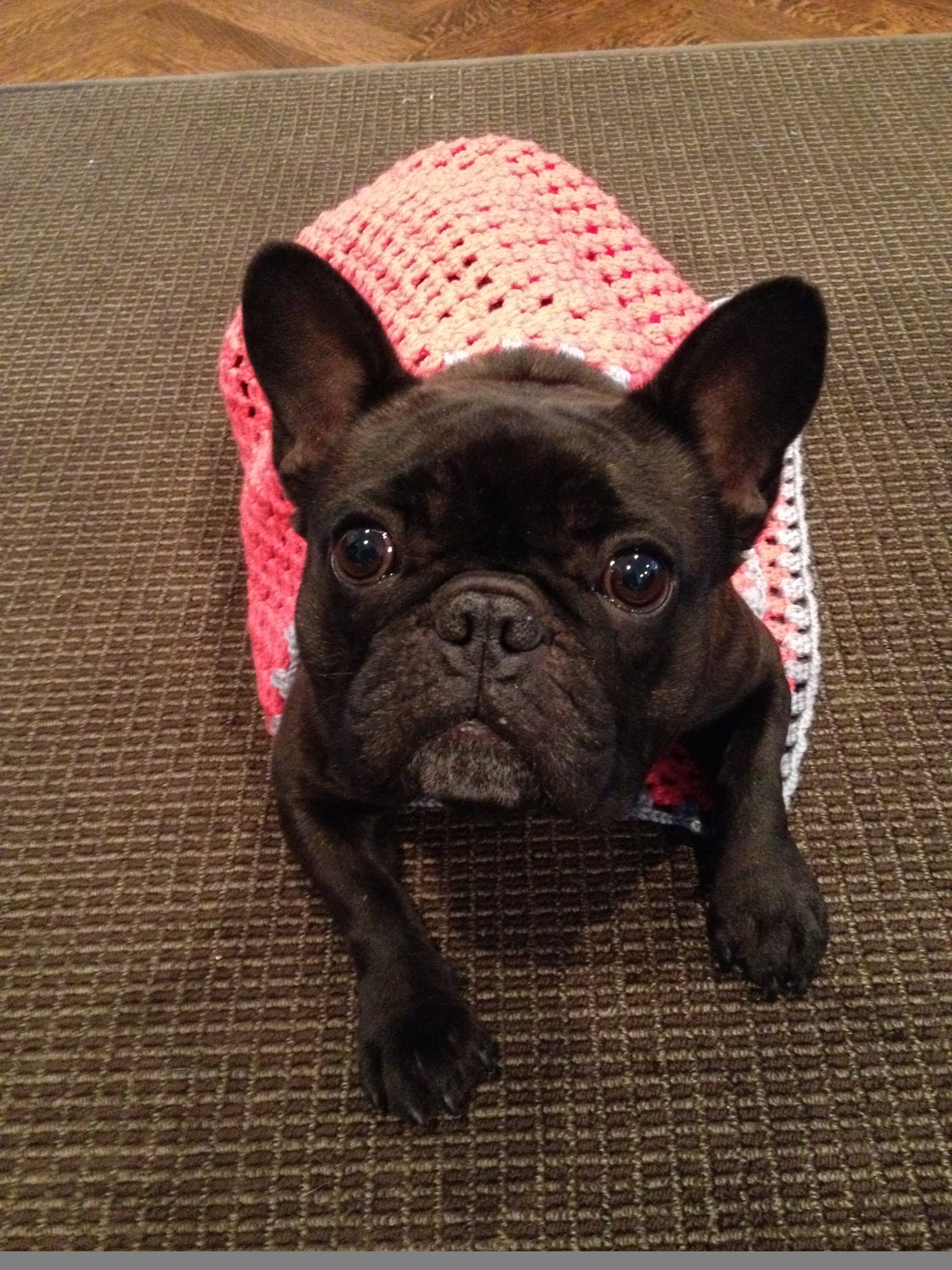 French Bulldog Crochet Blanket for Dogs Handmade Lap Afghan