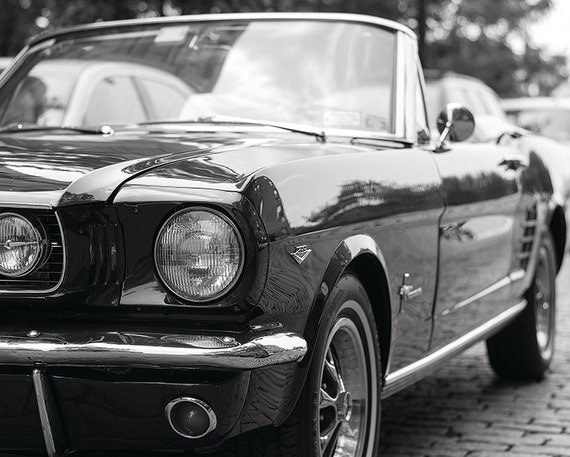 Mustang Classic Ford Mustang Motors No. 8 New York