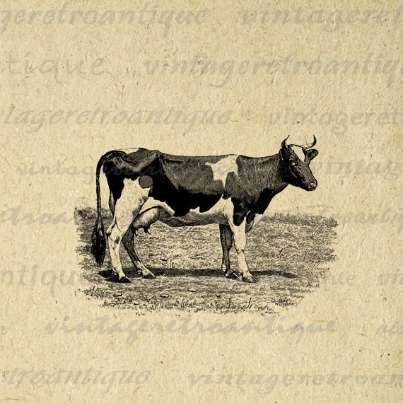 Antique Cow Printable Digital Download by VintageRetroAntique