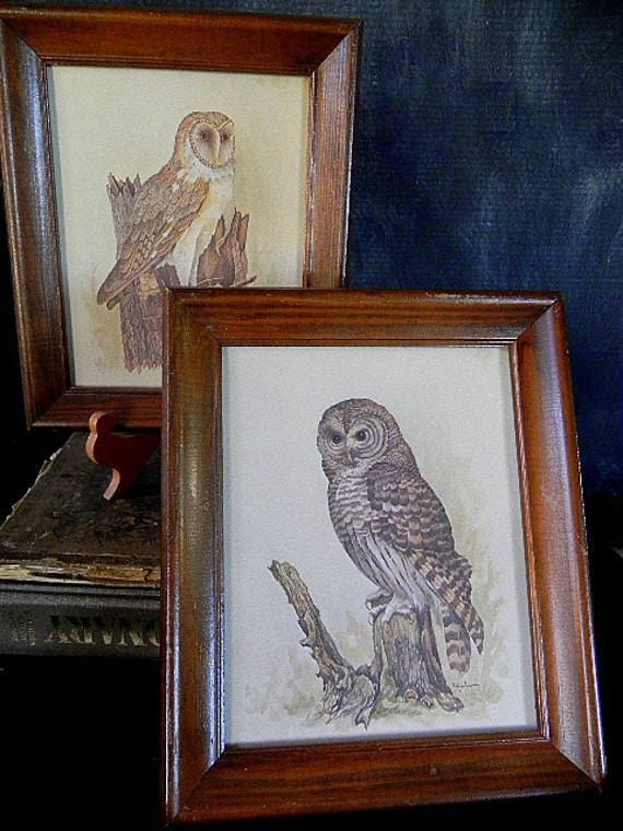 2 Vintage Owl Prints Framed Art