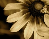 Bee Still: Color Me Colorado for 303