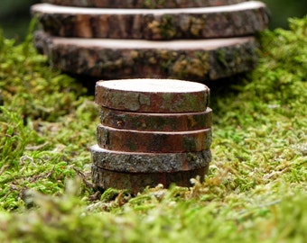 Fairy Garden accessories wood slice Stepping Stones miniatures set of 5