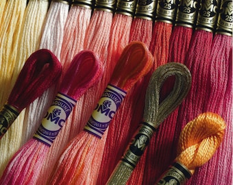 Dmc Embroidery Floss 10 skeins - choose your colour
