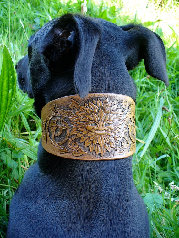 Greyhound & Lurcher Collar