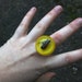 Real Dead bee resin ring SALE