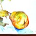 Watercolor Painting- A Pear