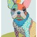 CUSTOM PET PORTRAIT