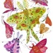 butterflies luna moths insects tropical large original gouache painting