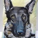 DOG Portraits - Hand Painted Pillow - Home Decor - Memorial Gift - Personalize Your Pet - Art Pillow