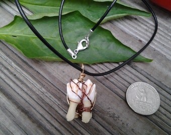 Tooth jewelry, Four root real deer tooth pendant necklace, mens jewelry, mens necklace, black leather cord necklace