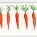 5 Little Carrots Painting watercolor original