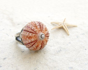 Sea Urchin Collection - Sterling Silver Pink Sultan Ring