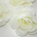 Silk Flowers - Bloomed Creamy White Garden Rose ... 4 inches - Artificial Flower, Millinery Flower