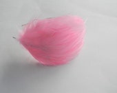 Light Pink Feather Headband - PoisonedCreations
