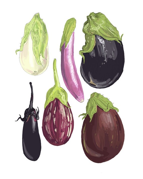 Items similar to Eggplants Illustration 8" x 10" Art Reproduction on Etsy