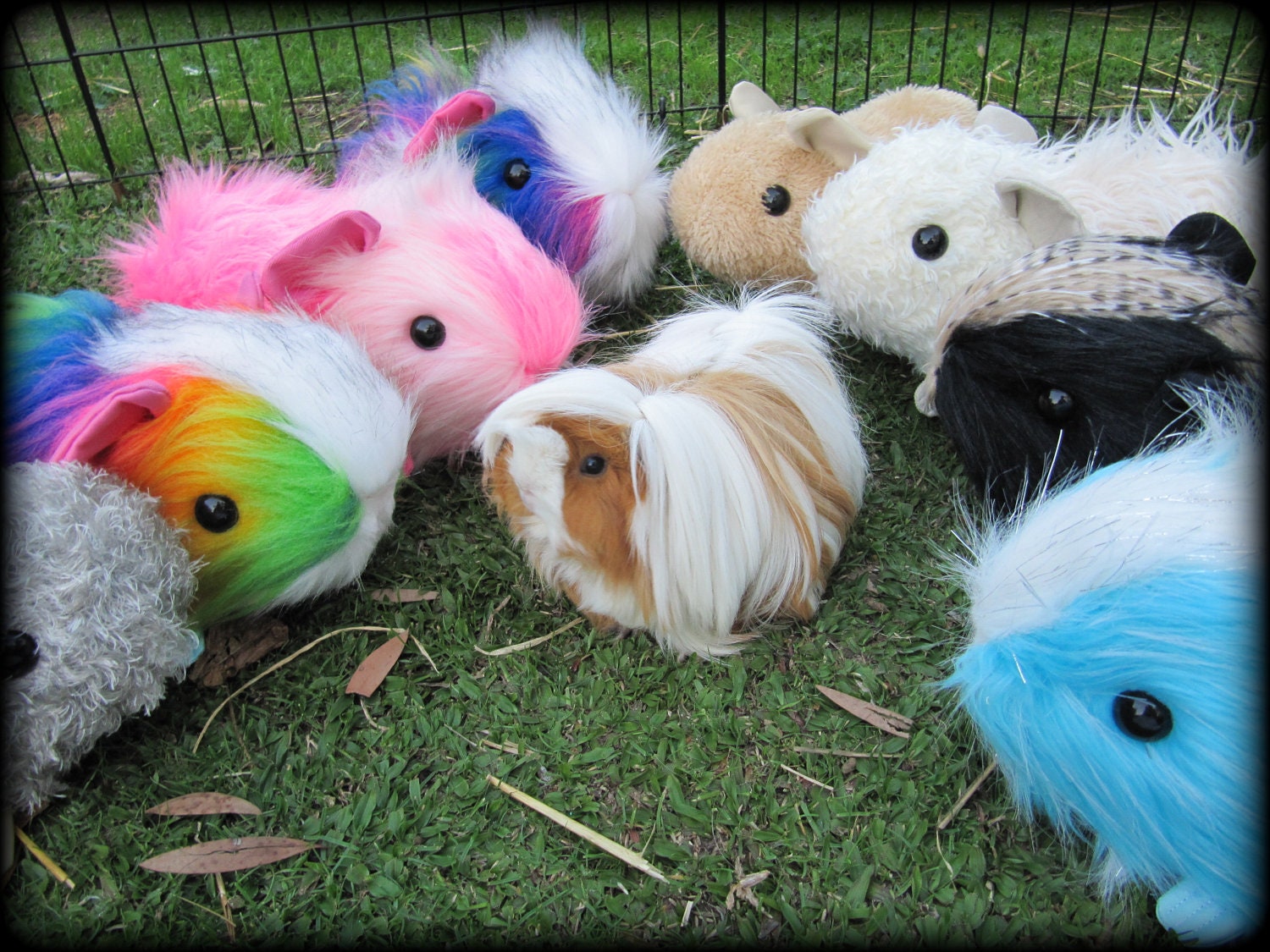 Spike hand made Rainbow Guinea Pig Cavy Soft Sculpture