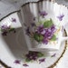 Salisbury Cup and Saucer-Purple Violets---Never Out of Place