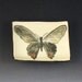 Handbuilt Ceramic Soap Dish with Butterfly