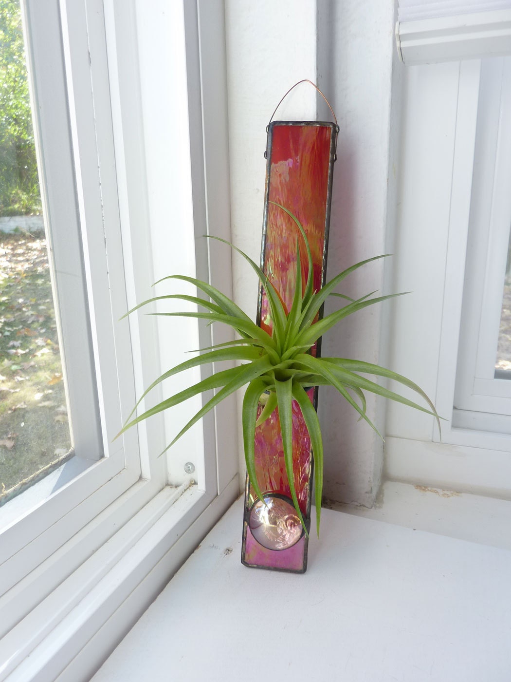 Stained Glass Air Plant Holder Iridescent Red by glassetc on Etsy