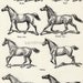 1934 Equestrian Chart of Gaits of Horses Black and White Print for Framing