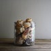 vintage seashell collection