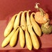 Gourds 10 dried, cleaned and Craft ready Banana Gourds (Item 3)