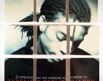 Terence Trent Darby recycled album cover wood coasters and warped vinyl record bowl