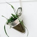 Vintage Planter - Repurposed Strainer