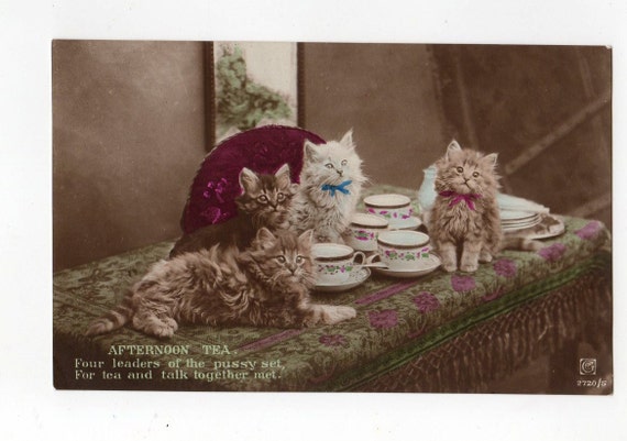 cats in time postcards