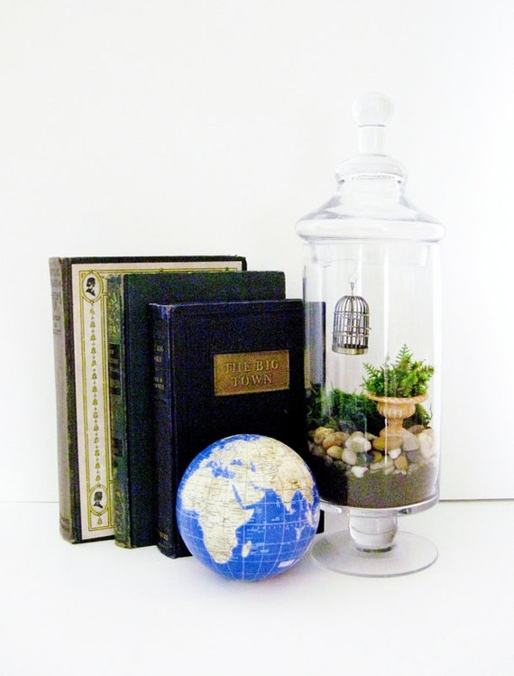 Plant Terrarium with Bird Cage Miniature Garden by DoodleBirdie