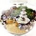 SALE Giant Sized Terrarium Table Centerpiece - Apothecary Jar Secret Garden Scene & Miniature Water Fountain: Extra Large Plant Terrarium