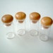 Mini Glass Bottle, miniature bottle, mini bottle, small, tiny, little, dollhouse, 3 bottles per set, wood, lid, cap, iammie