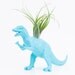 Dinosaur Planter with Air Plant Room Decor, College Dorm Ornament