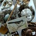 Antique Medical Bisque Steampunk Excavated Nature's Treasures for altered art and jewelry No 25