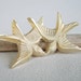 Vintage Celluloid Bird Brooch Pearlescent Lovebirds Forties