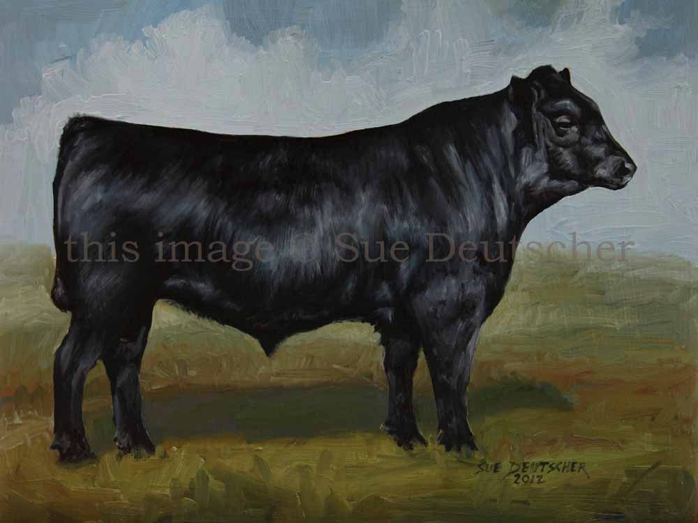 Black Angus print from painting