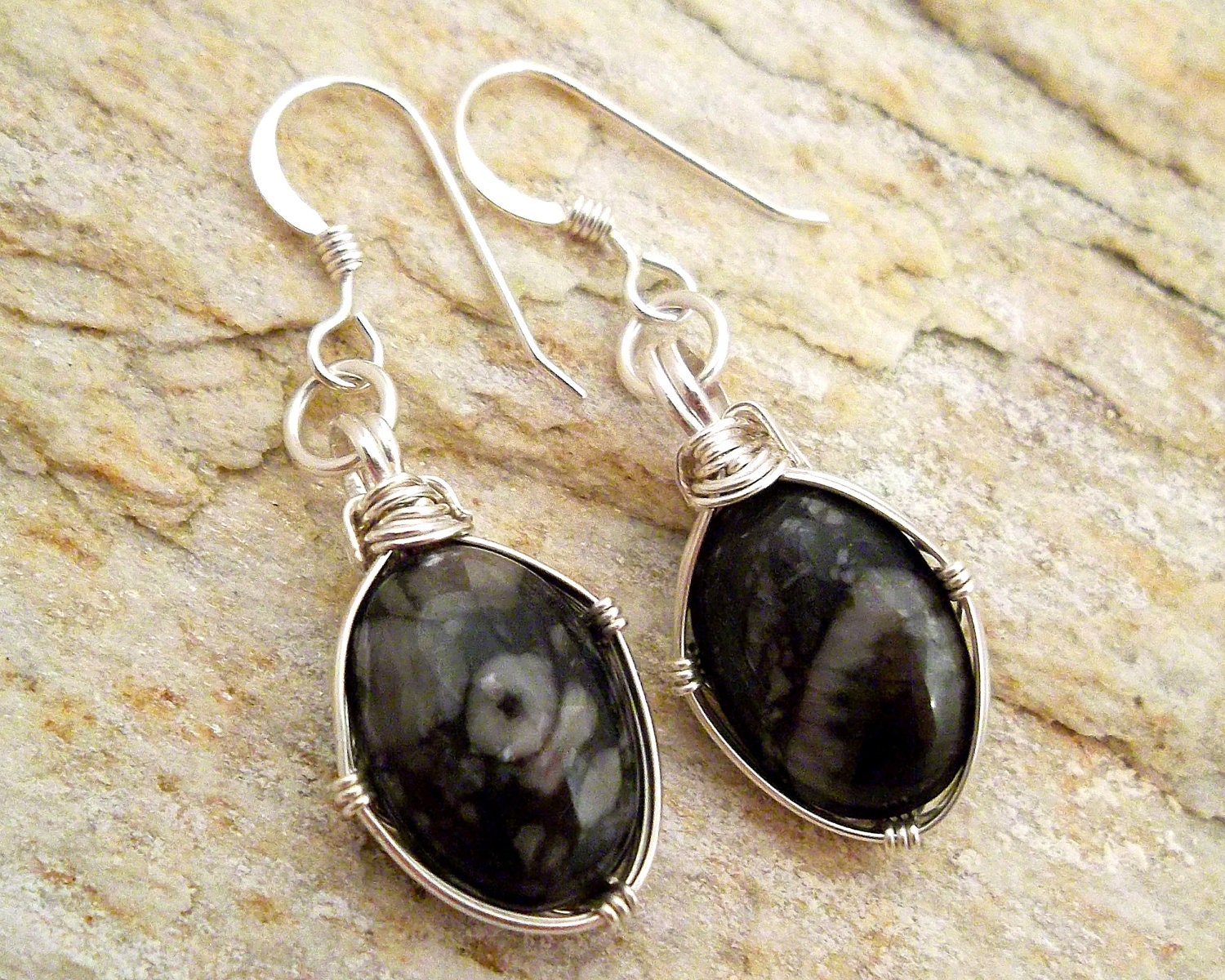 Black Crinoid Fossil Earrings Fossil Jewelry