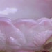 Sale 12 1 12 Rare bowl milk glass/rosalene slag glass pink Lefton vintage treasure in EVC
