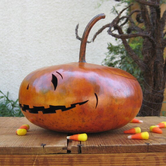 Halloween Jack O Lantern Gourd Fall Natural Decoration Candy