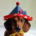Dog Sailor Puppy Hat for Birthdays Pirating Partying and More - Primary Red Blue Yellow Puppy Print