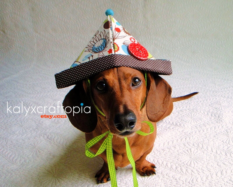 Wiener Dog Birthday Party Adventurer Hat