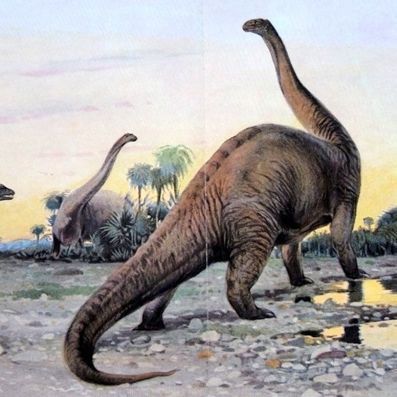 c.1900 BRONTOSAURUS DINOSAUR LITHOGRAPH original antique