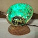 Vintage 1950's Natural Abalone Shell TV Lamp, Unique
