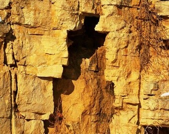 Nature Made-8x10 Photo