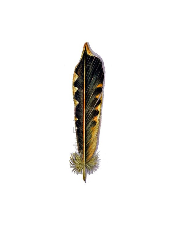 Items similar to Northern Flicker Woodpecker Feather Painting