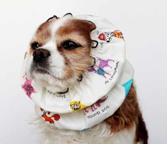 Goofy Dog Pet Snood / Cavalier King Charles or Cocker fabric