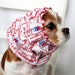 Republican Dog Snood / Cavalier King Charles or Cocker fabric ear covering